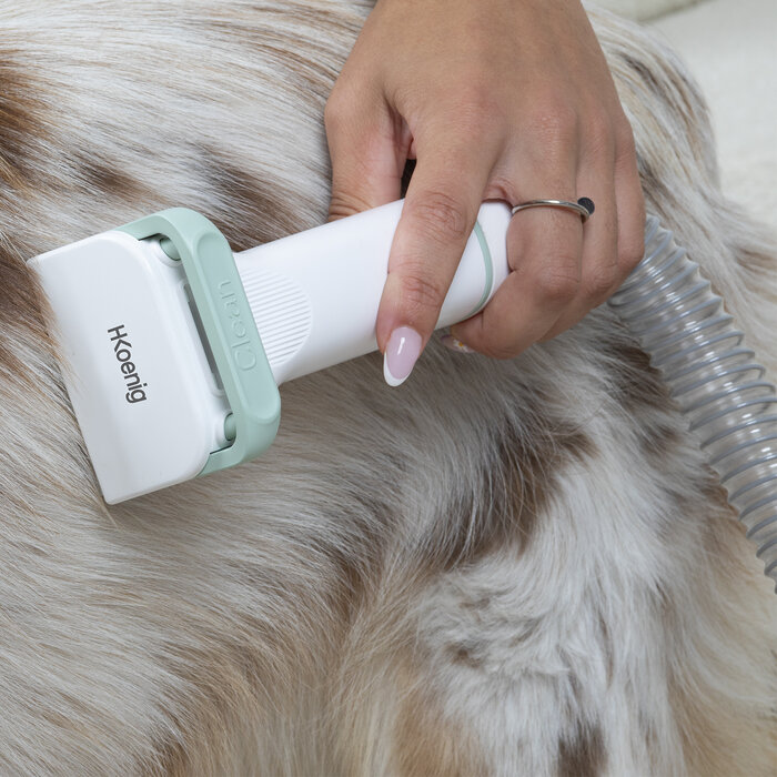 Aspirateur pour animaux